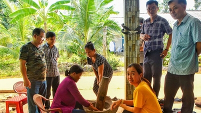 A hoe trip brought up a bunch of cassava. In Soc Trang, people use it to make rice paper, it's so delicious.