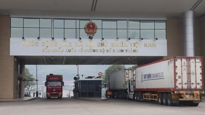 VCCI ណែនាំសុវត្ថិភាពព័ត៌មានសម្រាប់សហគ្រាសនាំចេញ-នាំចូល