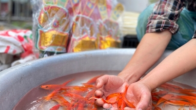¿Podemos adorar a los dioses de la cocina con carpas de papel?