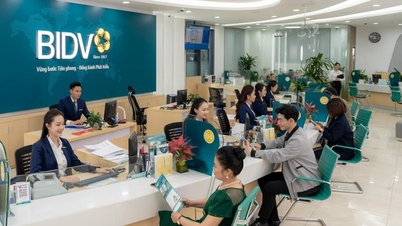 Ngân hàng Nhà nước chấp thuận cho BIDV trả cổ tức 21%