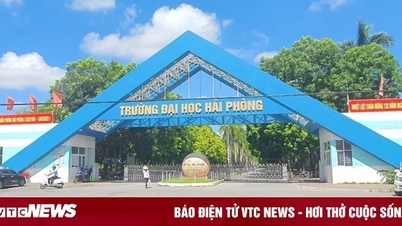តើសាកលវិទ្យាល័យ Hai Phong និយាយអ្វីខ្លះ?
