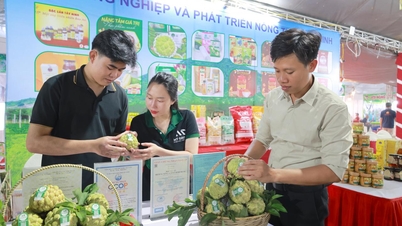 Tay Ninh tiene 139 productos OCOP de 3 estrellas o más