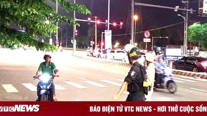 តើ​ប៉ូលិស​ចរាចរណ៍​មាន​សិទ្ធិ​ត្រួត​ពិនិត្យ​គល់​ឈើ​ដើម្បី​ផាក​ពិន័យ​ឬ​ទេ?