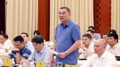 Bộ Công an thông tin mới nhất về việc khởi tố, bắt tạm giam Ngô Thị Tố Nhiên cùng 2 bị can
