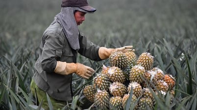 Trung Quốc ‘bao mua’, xuất khẩu nhiều mặt hàng nông sản bùng nổ