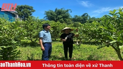 Như Xuân dồn sức xây dựng nông thôn mới
