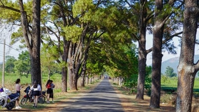 48 hours in Gia Lai