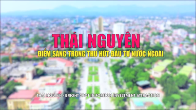 ថៃ ង្វៀន - ចំណុចភ្លឺស្វាងក្នុងការទាក់ទាញការវិនិយោគពីបរទេស