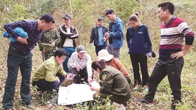 “Giải bài toán” giao đất lâm nghiệp và giao rừng