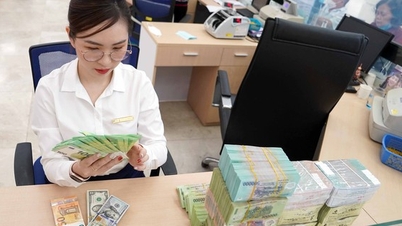 Neo cao ở mức 24.300 đồng