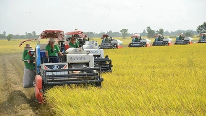 La agricultura establece una serie de récords