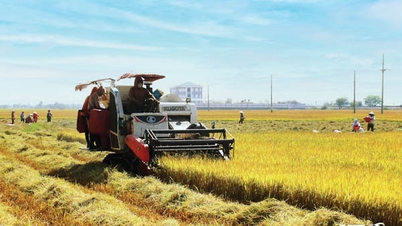 NTO - Ninh Phuoc ខិតខំបំពេញគោលដៅអភិវឌ្ឍន៍សេដ្ឋកិច្ច