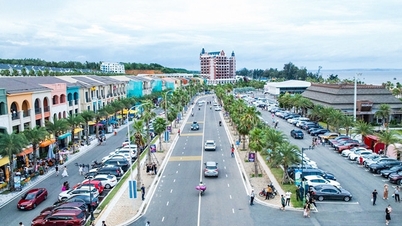 Từ chỉ đạo của Chính phủ đến nỗ lực của địa phương