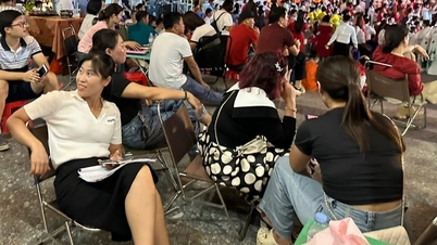 Đấu giá đất quận Hà Đông: Giá lên 246 triệu đồng/m2 sau 9 vòng đấu?