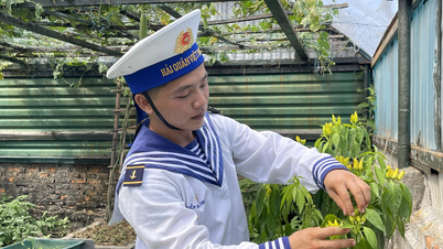 សត្វក្អែកនៅ Truong Sa