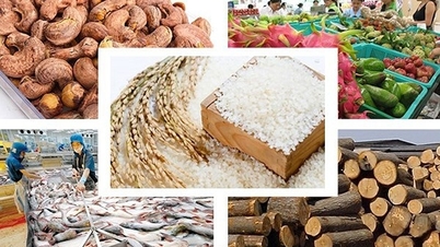 Nông lâm thủy sản xuất siêu 2,68 tỷ USD trong hai tháng đầu năm