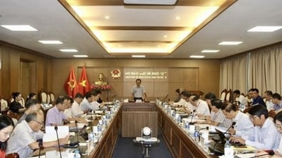 Các trường mong có nghị quyết riêng về giáo dục đại học