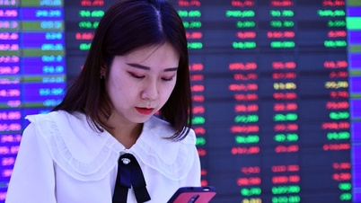 Bộ Xây dựng thoái vốn, cổ phiếu Viglacera tăng vọt, tiền đổ mạnh vào chứng khoán