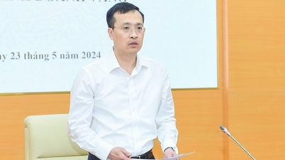 Ngân hàng Nhà nước sẽ thanh tra hoạt động kinh doanh vàng của 6 đơn vị