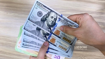 Tỷ giá ngoại tệ, tỷ giá Yên Nhật, giá USD chợ đen hôm nay 3.7