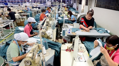 Việt Nam vượt Trung Quốc, dẫn đầu thị phần xuất khẩu dệt may vào Mỹ