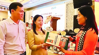 ការកសាងម៉ាកយីហោជាតិសម្រាប់ផលិតផល OCOP