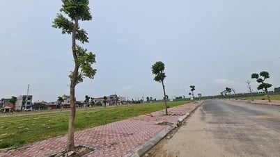 Đột phá công tác đấu giá đất tại Mê Linh