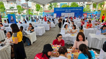 11.000 người tham gia Ngày hội việc làm tại Đông Anh