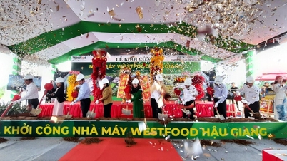Hau Giang : cérémonie d'inauguration d'une usine de transformation agricole d'une capacité de 30 000 tonnes par an