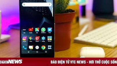 Hướng dẫn bạn cách tắt tự động cập nhật ứng dụng trên Android