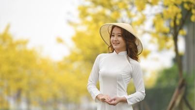 Đường hoa phong linh bung sắc rực rỡ, chị em Hà thành bắc thang, kê ghế check-in