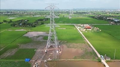Truyền tải điện miền Tây 1 tăng cường giảm tổn thất truyền tải
