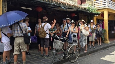 Impulsar el cine vietnamita para allanar el camino al turismo internacional