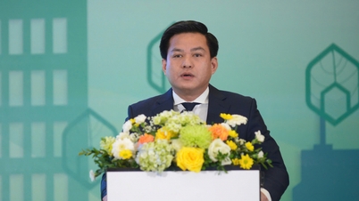 Việc quản lý, thực hiện đấu giá đất tại một số địa phương chưa tốt