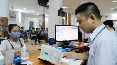 Lao động được hưởng trợ cấp thất nghiệp trong trường hợp nào?