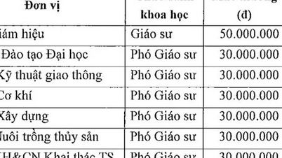 សាកលវិទ្យាល័យផ្តល់រង្វាន់ដល់អ្នកដែលត្រូវបានតែងតាំងជាសាស្រ្តាចារ្យ និងសាស្ត្រាចារ្យរងចំនួន ៣០-៥០ លានដុង