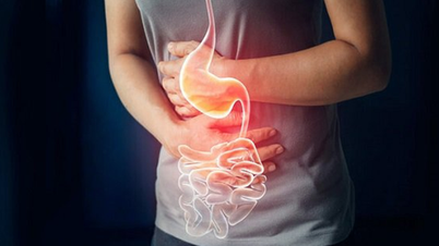 Rau và thực phẩm nào có tác dụng trị đau loét dạ dày?