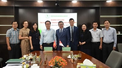VRG និងស្ថានអគ្គកុងស៊ុលសិង្ហបុរីជំរុញកិច្ចសហប្រតិបត្តិការសេដ្ឋកិច្ច និងការអភិវឌ្ឍន៍ប្រកបដោយចីរភាព