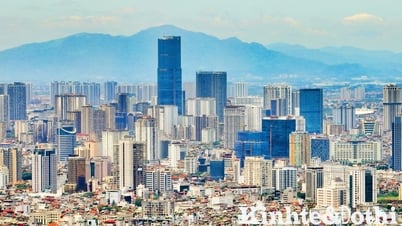 các sở, ngành chủ động vào cuộc