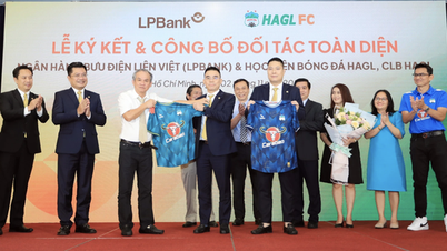 VFF rejects HAGL's proposal to change the team name at this time, why?