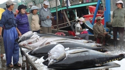 Why is Vietnamese tuna losing its competitiveness in the world market?