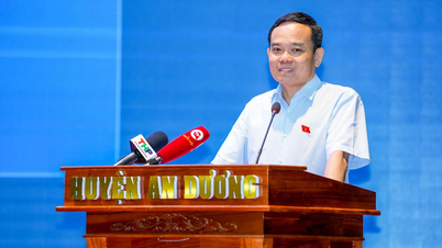 Deputy Prime Minister informs about the progress of the Free Trade Zone project in Hai Phong