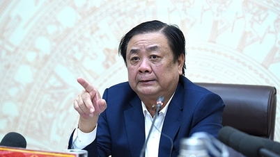 Tập trung cao điểm xử lý vi phạm để gỡ 'thẻ vàng IUU'