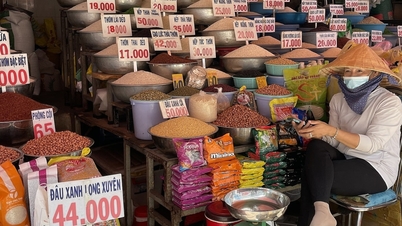 Vietnamese rice export price highest in the world after India's tax order