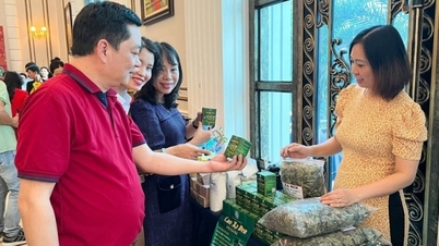 Trade promotion exchange for enterprises and cooperatives in Hai Duong province