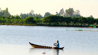 ទឹកលិចវាលស្រែដើម្បីស្វាគមន៍អលង្ការ ប្រជាជន Vinh Long ចេញទៅចាប់ត្រីងៀត ត្រីងៀត ត្រីងៀត និងត្រីងៀត ហើយលក់ដូចនំអន្សម។