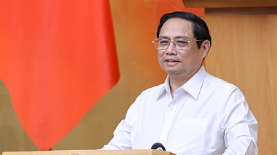 Chính phủ sẽ trình Quốc hội chính sách về thuế tối thiểu toàn cầu