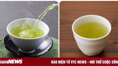 Green tea is better hot or cold?