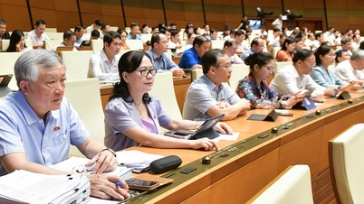 Quốc hội thống nhất không đổi tên tòa án tỉnh, huyện