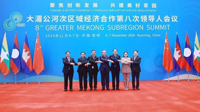 Vietnam makes very practical contributions to regional multilateral cooperation mechanisms.